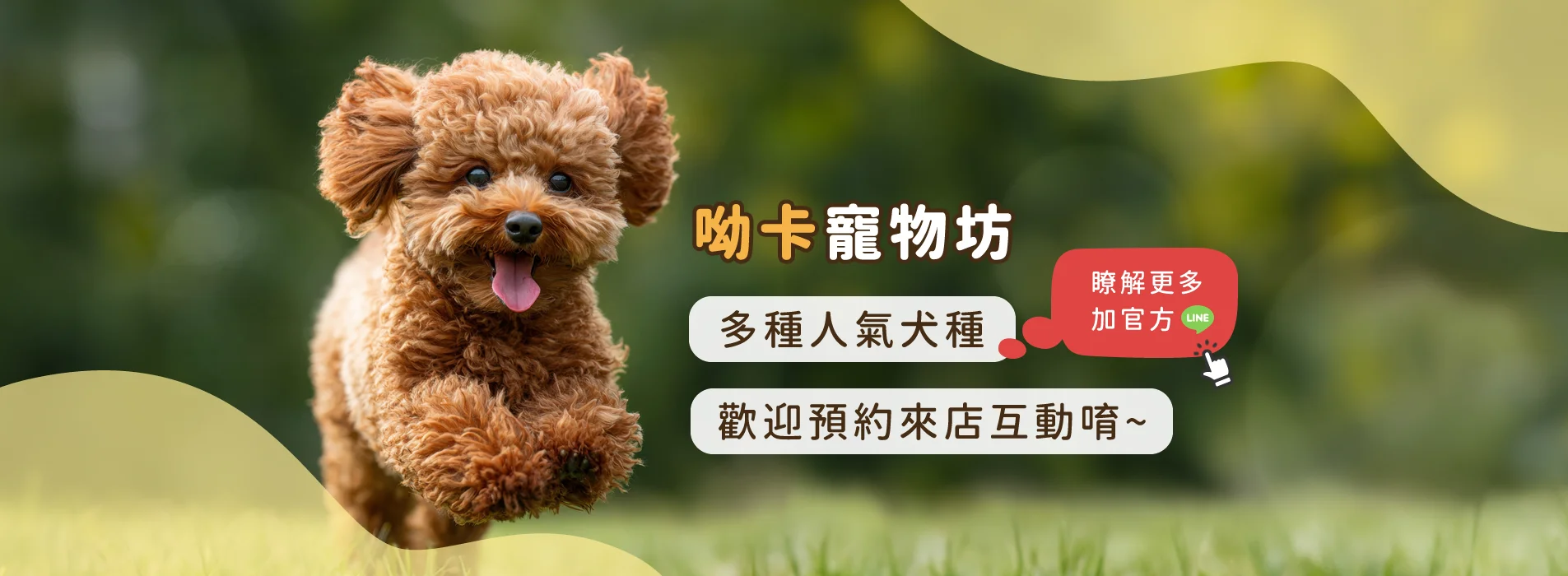 banner.fw.webp
